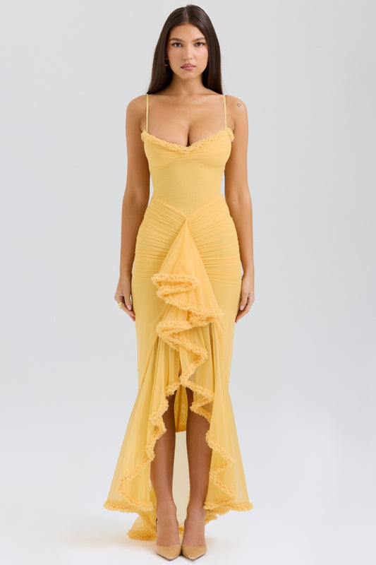 Gabbi Ruffled Maxi Dress